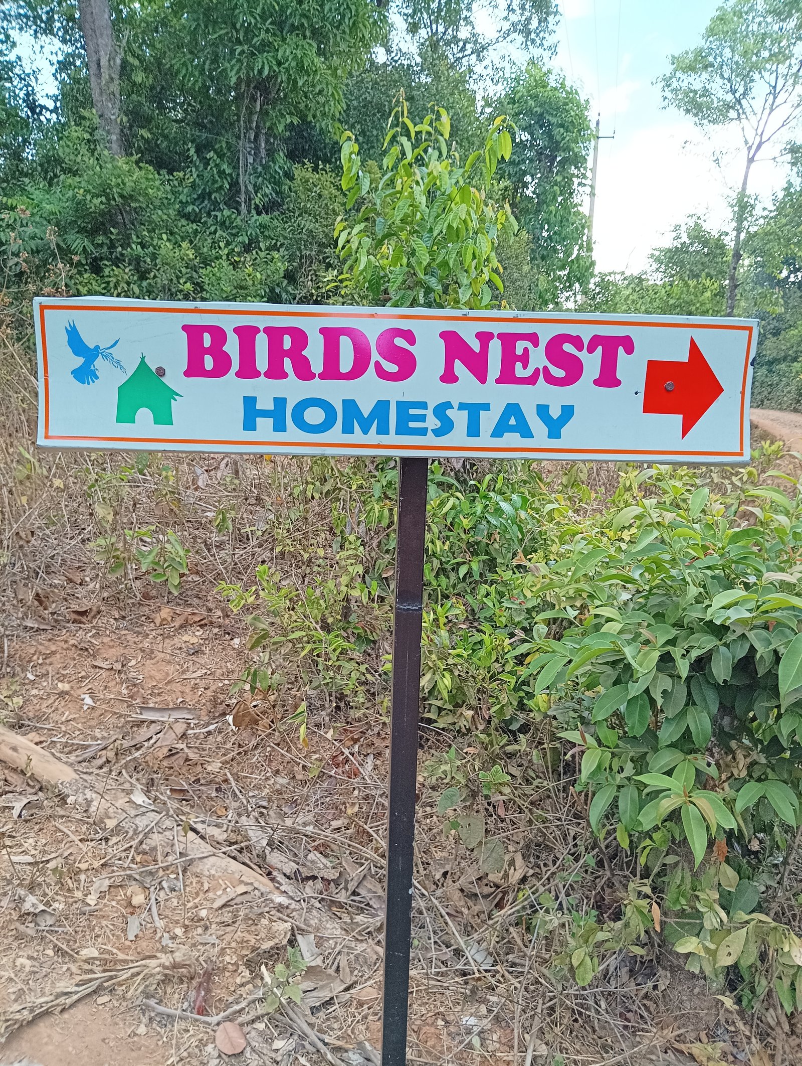 Birds Nest Homestay photo 11
