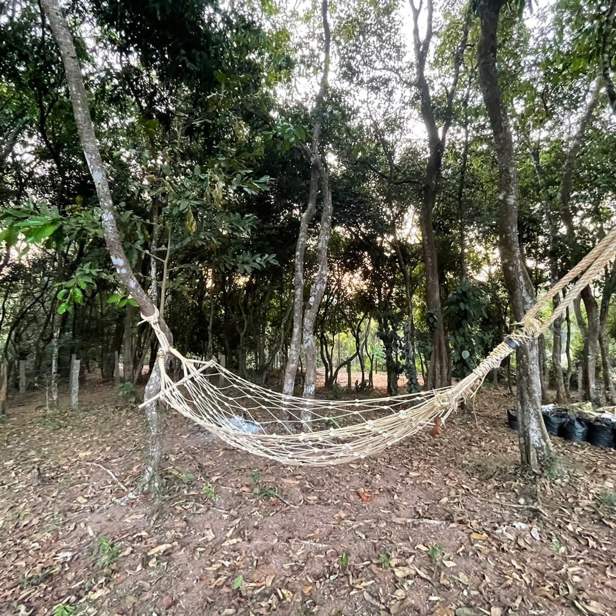 Birds Nest Homestay photo 36