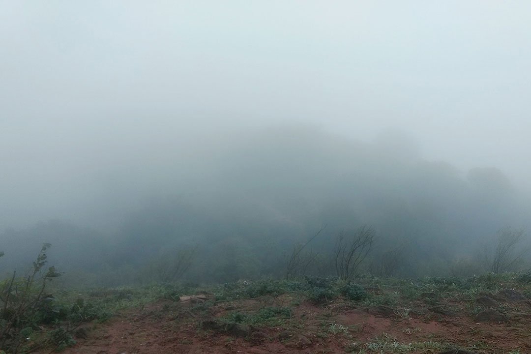 Scenic Malnad hills and forest near Birds Nest Homestay, ideal for trekking and nature walks