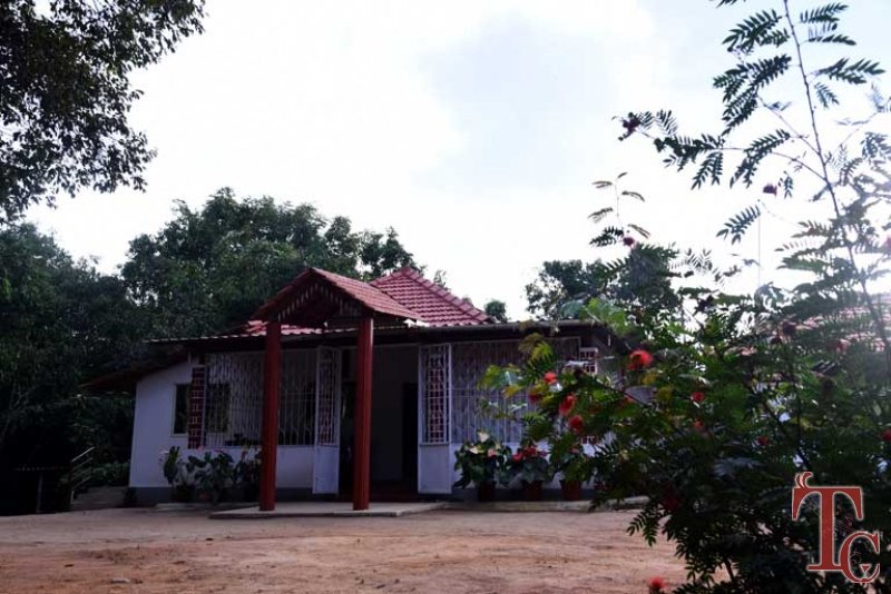 travelchords-birds-nest-homestay-186827